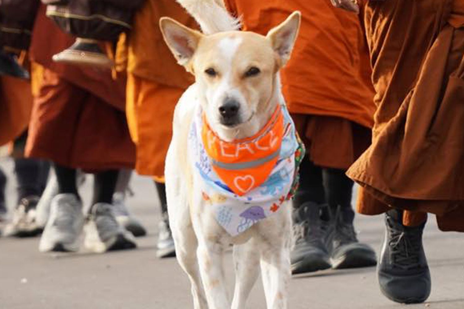 Cerita Aloka dan Kerukunan Umat Beragama