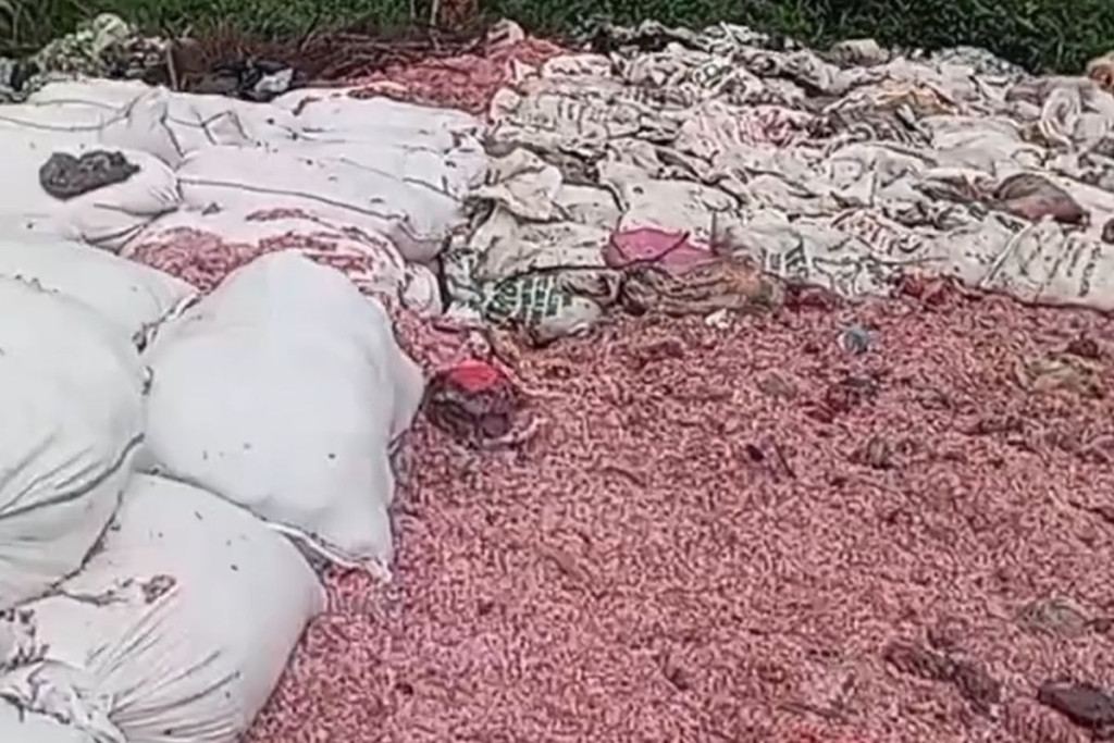 21 Karung Potongan Uang Kertas di TPS Liar Ternyata Milik Bank Indonesia