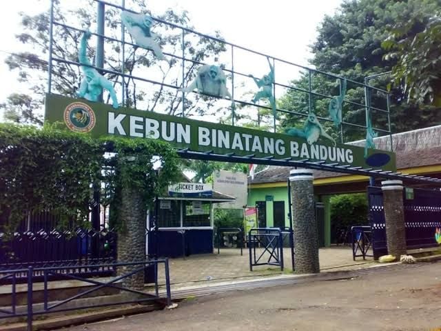 Terdakwa Korupsi Kebun Binatang Bandung Cabut Gugatan ke Walikota