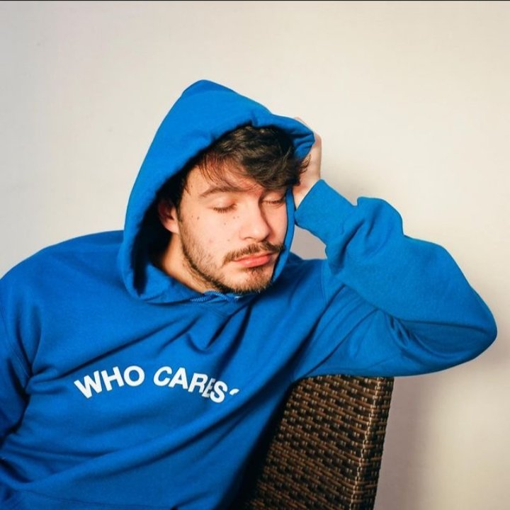 Lirik Lagu The Shade oleh Rex Orange County Beserta Terjemahannya