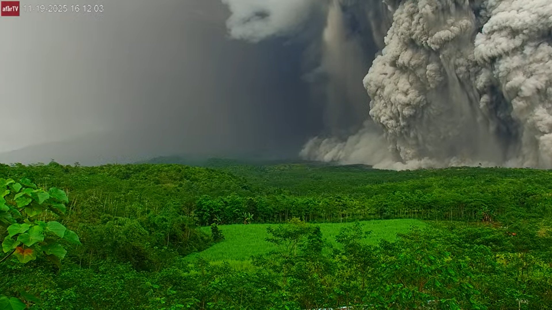 Gunung Semeru Meletus, Basarnas Kawal Evakuasi Pendaki Gunung