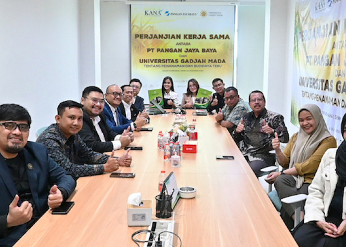 Koperasi Kana–Faperta UGM Kembangkan Budidaya Tebu 22 Ribu Hektar di Jawa Timur
