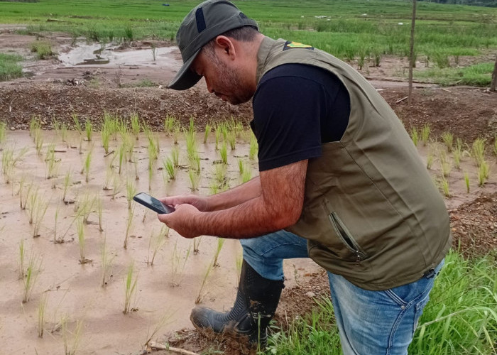 Anggaran Rp 4,7 Triliun Serius Dipertanyakan, Zam Zam Minta Mentan Buka Data