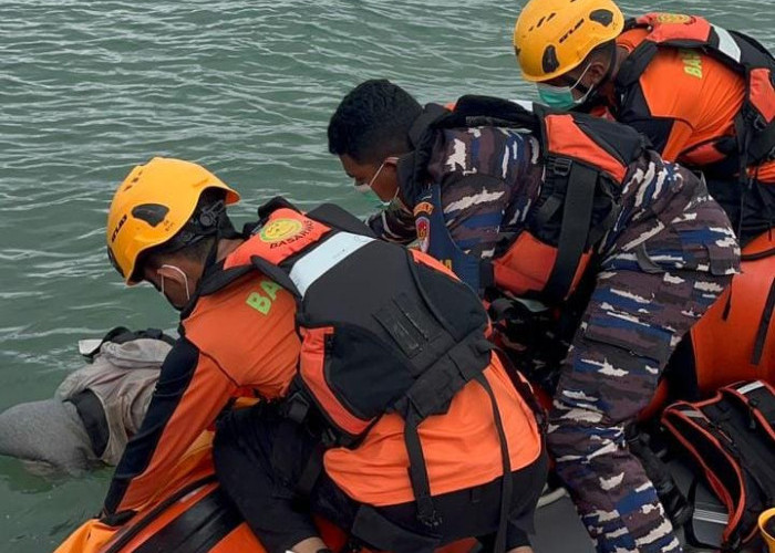 Sinergi TNI AL dan Tim SAR Gerak Cepat Evakuasi Korban di Barelang