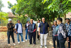 Mantap, BRI Insurance Cetak Keuntungan Rp 467 Miliar di Kuartal III 2025