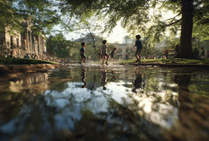 Ogah Kasus Penculikan Alvaro Terulang, Pemprov DKI Siap Revisi Perda Perlindungan Perempuan dan Anak