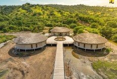 Kawasan Pulau Rinca di TN Komodo Labuan Bajo Diresmikan Jokowi, Yuk Intip Keindahannya