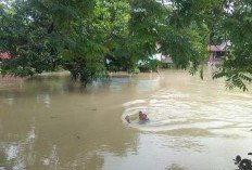 Banjir Wajo Rendam 2.415 Rumah Warga Dua Kecamatan