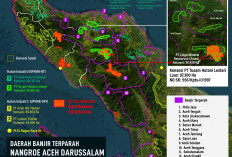 Dua Desa Korban Bencana di Pidie Jaya Butuh Tenda