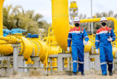   Begini Peran Agregator dan Integrator untuk Tuntaskan Kelangkaan Pasokan Gas Domestik