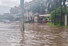 Hujan Deras, Sembilan RT di Jakarta Barat Terendam Banjir