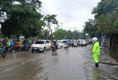 Hujan Deras Semalaman Guyur dan Genangi 61 RT dan 6 Ruas Jalan di Jakarta