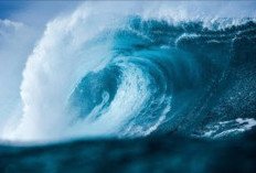 Menyusul Gempa di Rusia, Gelombang Tsunami Ancam Amerika dan Jepang