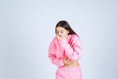 Wajib Coba! Tips yang Perlu Kalian Ketahui Saat Mabuk Perjalanan