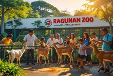  Harga dan Cara Bayar Tiket Masuk Kebun Binatang Ragunan yang Sedang Ramai Dikunjungi Masyarakat