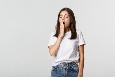 Sering Mengantuk Setelah Makan? Ini Faktor yang Menyebabkan Rasa Ngantuk Setelah Makan