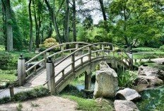 5 Tempat Wisata di Bogor dan Harga Tiketnya, Cocok untuk Liburan Akhir Pekan 