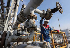 Potensi LNG Impor untuk Atasi Masalah Pasokan Gas Domestik, Ini Keterangannya