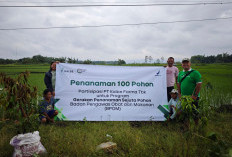 Tanam 600 Bibit Pohon di Wonogiri, Kalbe Konsisten Tingkatkan Kualitas Lingkungan