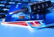 Begini Penjelasan Pakar soal Maksud Transfer Data WNI ke Amerika Serikat
