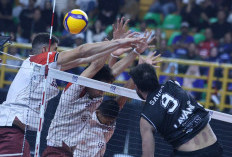 Jakarta Lavani Livin Juara Seri Pertama Proliga 2026 setelah Sapu Bersih Kemenangan Empat Pertandingan