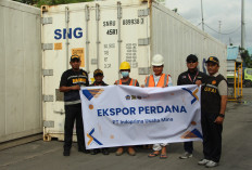 Ikan Tenggiri dan Kerapu Papua Tembus Pasar Global, Ekspor Perdana Sukses