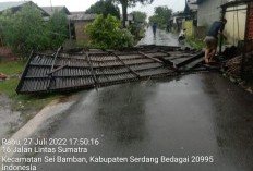 Angin Puting Beliung Mengamuk, Satu Warga Serdang Bedagai Meninggal Tertimpa Pohon