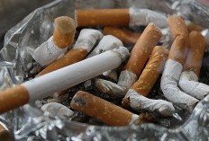  7 Dampak Buruk Rokok Bagi Kesehatan