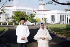 Jokowi Salat Iduladha di Istiqlal, Kurban Sapi Seberat Satu Ton