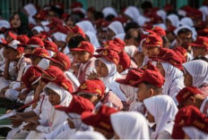 Pemprov Jakarta Sudah Capai 16 Persen dari Target Sekolah Swasta Gratis